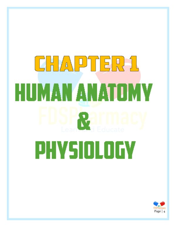 Human Anatomy and Physiology Notes - Image 4