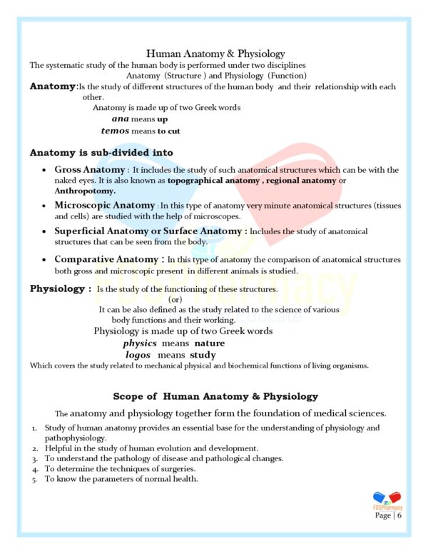 Human Anatomy and Physiology Notes - Image 6