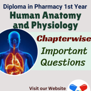 Human Anatomy and Physiology Important Questions