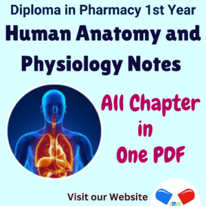 Human Anatomy and Physiology Notes
